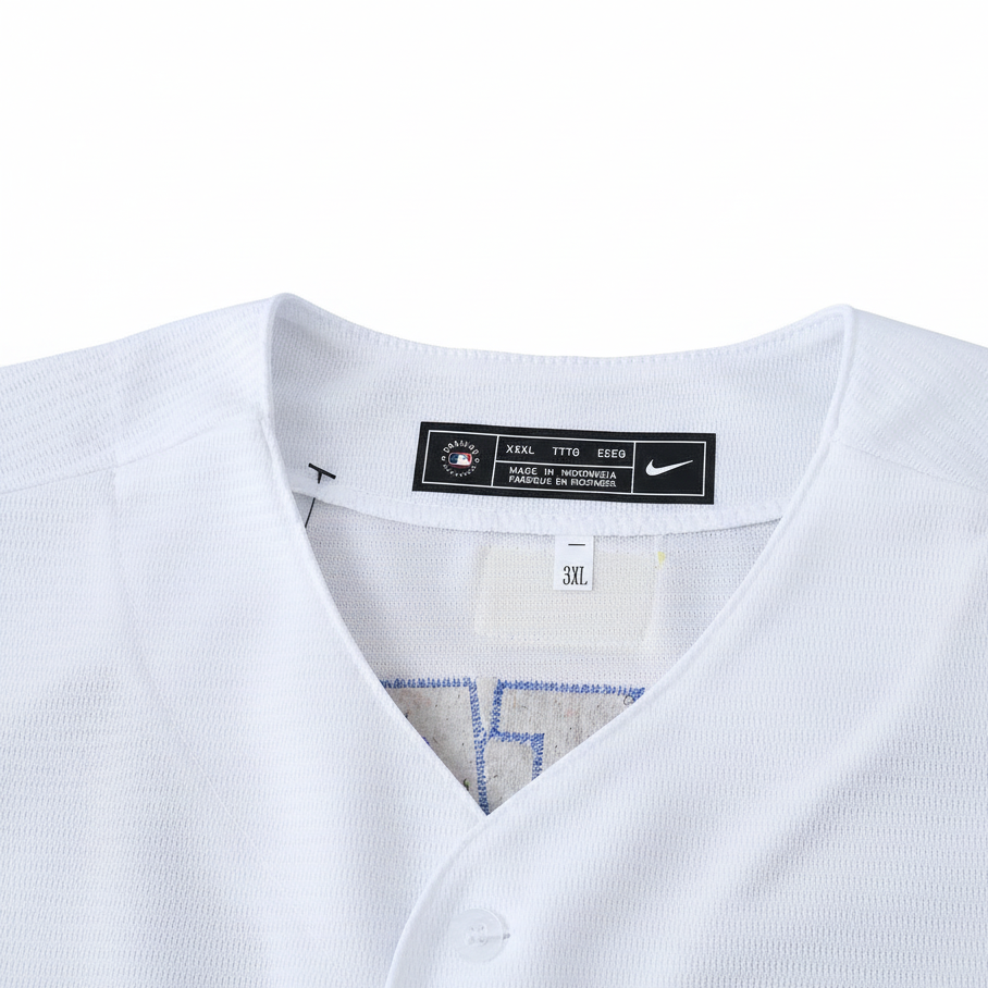 Los Angeles Dodgers World Champions Series