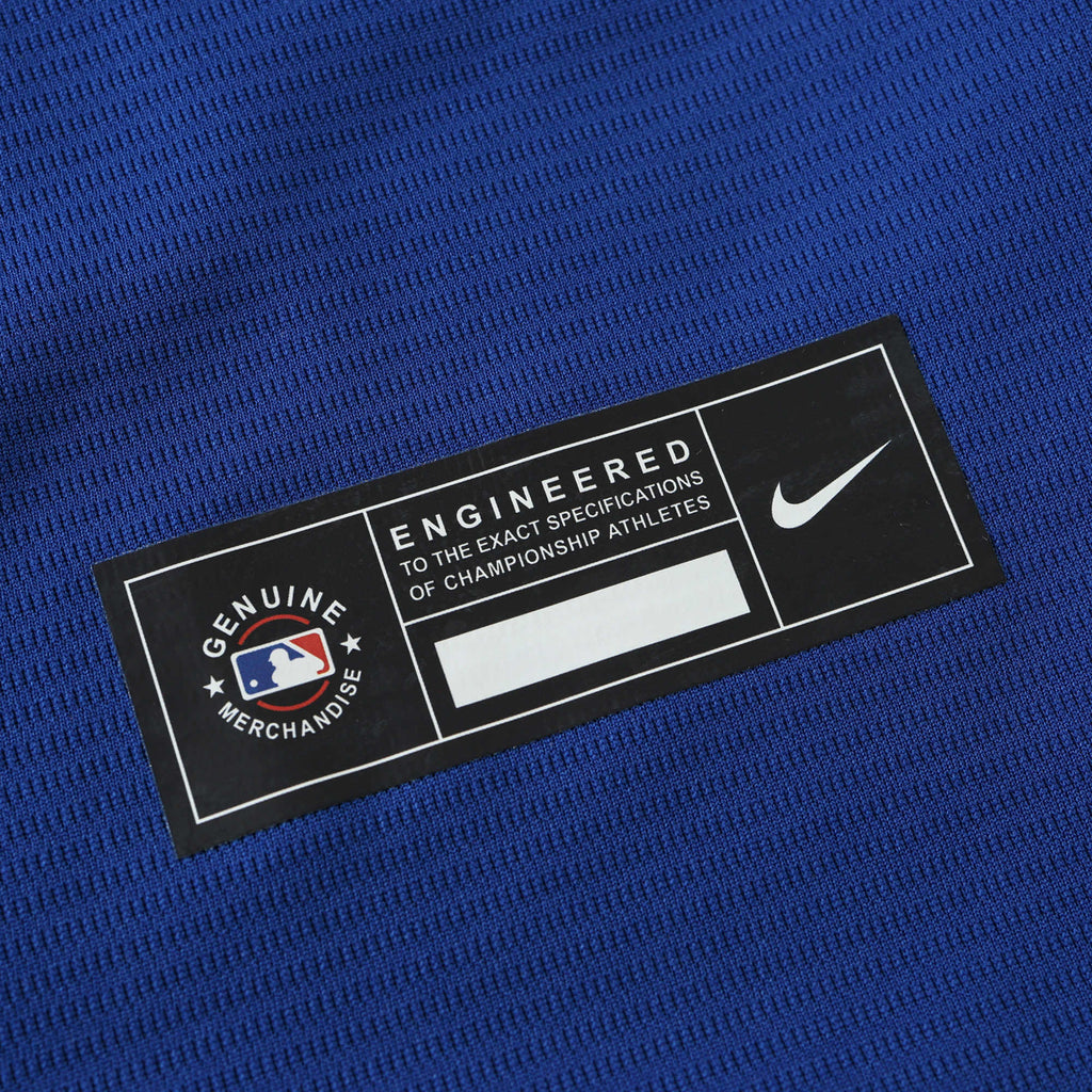 Los Angeles Dodgers Blue Jersey